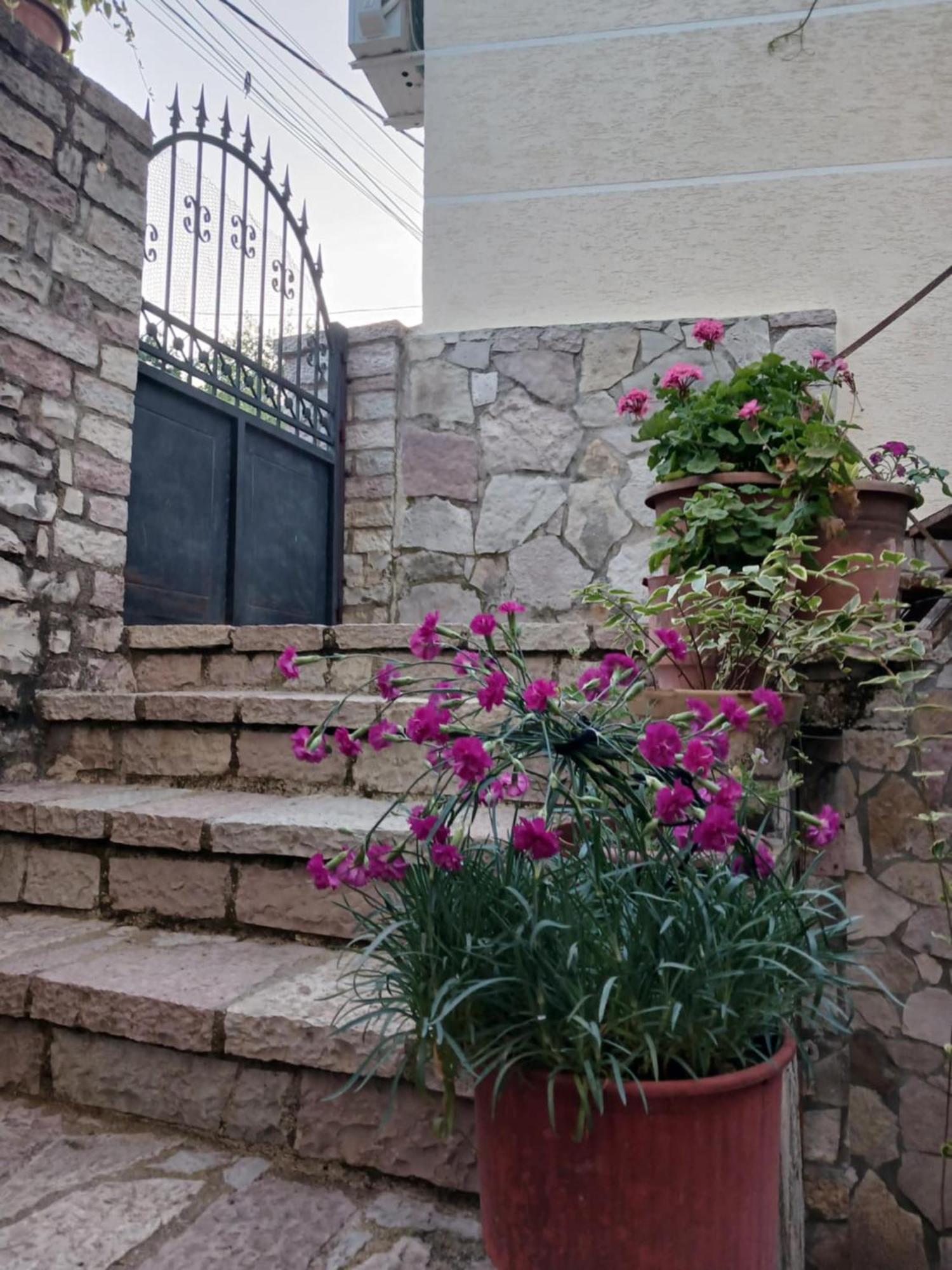 Eniguesthouse Gjirokastër 외부 사진